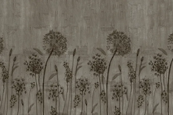 Fototapeta: Dmuchawce na betonowym tle w szarości