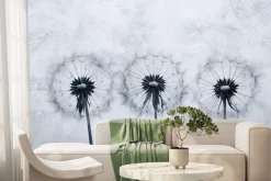 Fototapeta: Dmuchawce na szarym betonowym tle