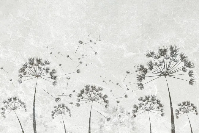 Fototapeta: Dmuchawce na szarym betonie