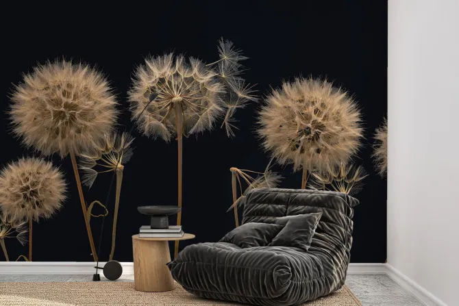 Fototapeta: Dmuchawce widziane z bliska