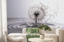 Fototapeta: Dmuchawiec wśród wody