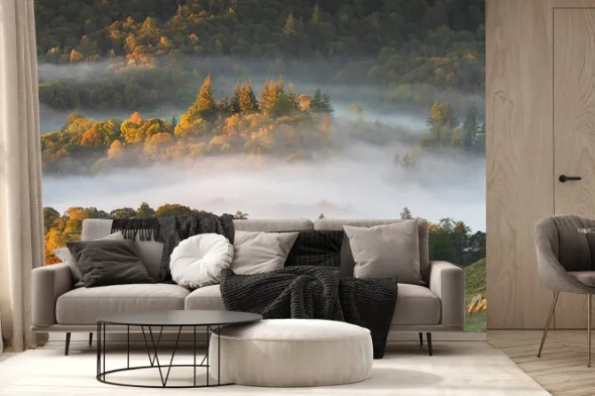 Fototapeta: Dreamy panoramic misty landscape with trees poking our of foggy