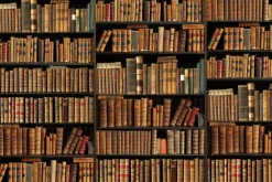 Fototapeta: Drewniane półki ze starymi książkami