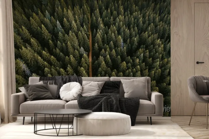 Fototapeta: Drone view of coniferous forest