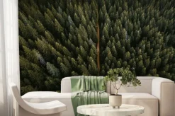 Fototapeta: Drone view of coniferous forest