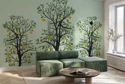 Fototapeta: Drzewa cytrynowe z zielonymi liśćmi