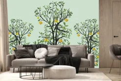 Fototapeta: Drzewa cytrynowe z zielonymi liśćmi