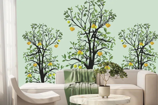 Fototapeta: Drzewa cytrynowe z zielonymi liśćmi