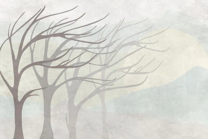 Fototapeta: Drzewa na wietrze minimalistyczny krajobraz