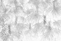 Fototapeta: Drzewa palmy szare liście tropikalne