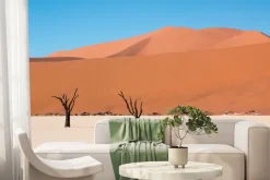 Fototapeta: Drzewa pustynne na tle wzgórz