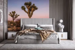 Fototapeta: Drzewa z pustynną suchą roślinnością