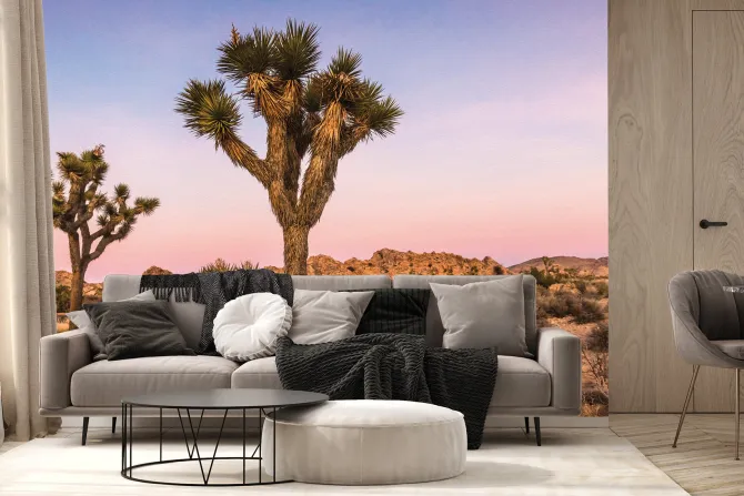 Fototapeta: Drzewa z pustynną suchą roślinnością