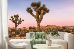 Fototapeta: Drzewa z pustynną suchą roślinnością