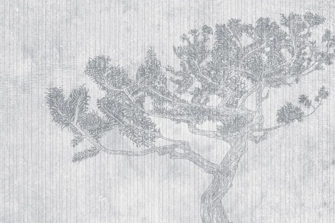 Fototapeta: Drzewo o subtelnym rysunku w stylu vintage