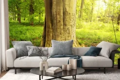 Fototapeta: Drzewo w zielonym lesie w słoneczny dzień