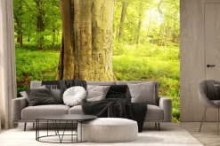 Fototapeta: Drzewo w zielonym lesie w słoneczny dzień