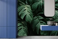 Fototapeta: Duże liście monstery na ciemnym tle