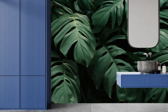 Fototapeta: Duże liście monstery na ciemnym tle