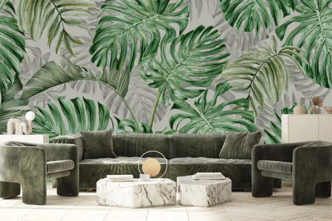 Fototapeta: Duże liście monstery