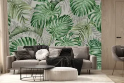 Fototapeta: Duże liście monstery