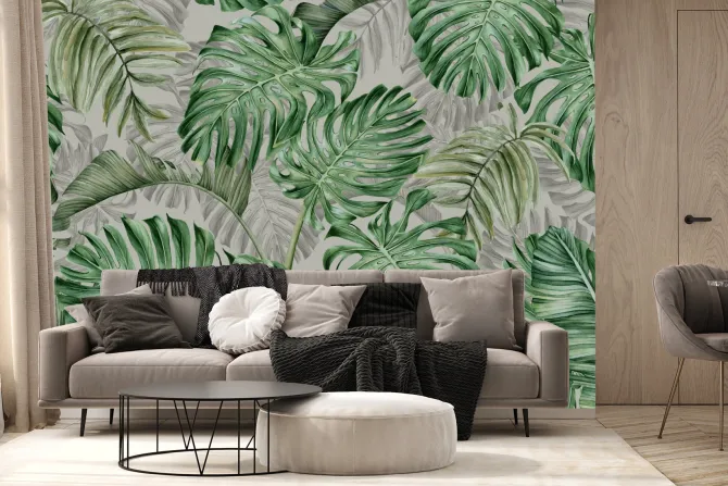 Fototapeta: Duże liście monstery