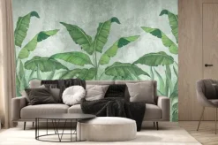 Fototapeta: Duże tropikalne liście bananowca na szarym tle