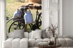 Fototapeta: Dwa starożytne zardzewiałe rowery do transportu mleka do kosza