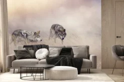 Fototapeta: Dwa wilki w wysokiej trawie