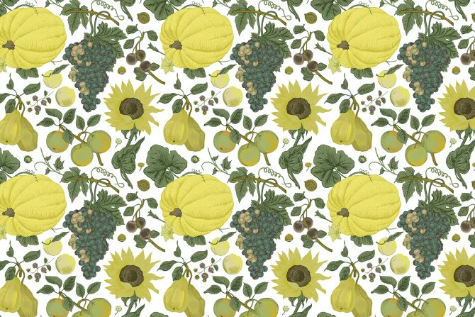 Fototapeta: Dynie wśród winogron i słoneczników