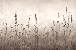 Fototapeta: Dzika łąka na betonowej ścianie