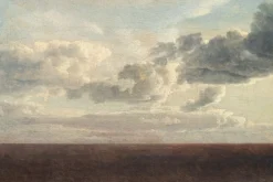 Fototapeta: Dzika łąka na tle nieba z białymi chmurami