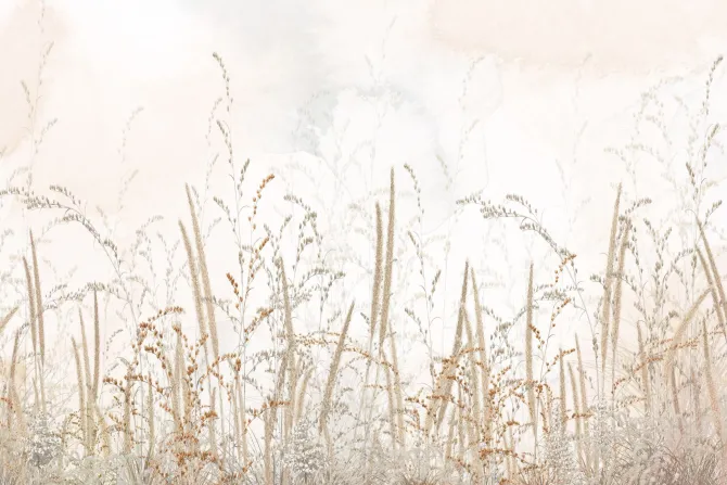 Fototapeta: Dzika łąka z trawami na beżowym tle