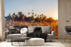 Fototapeta: Dzikie kwiaty na łące o zachodzie słońca