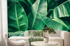 Fototapeta: Egzotyczne liście bananowca