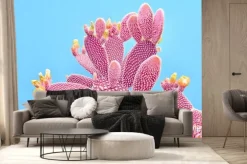 Fototapeta: Fashion cactus coral colored on pastel blue background. trendy