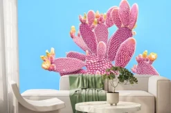 Fototapeta: Fashion cactus coral colored on pastel blue background. trendy