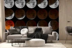 Fototapeta: Fazy zaćmienia księżyca