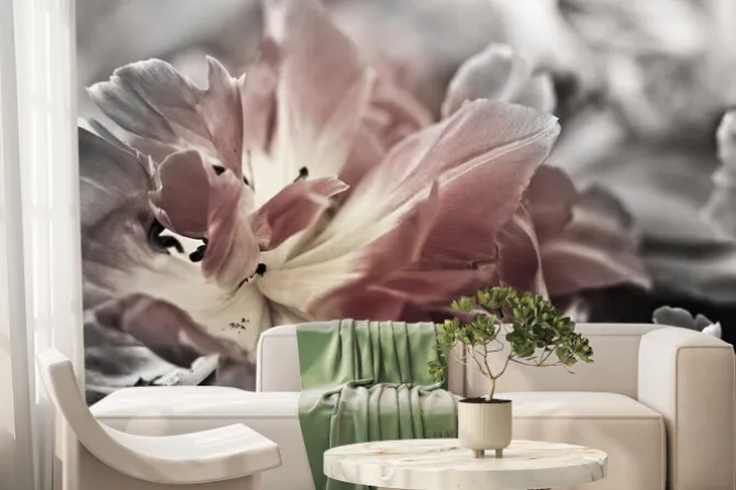 Fototapeta: Fine art tulipany zbliżenie, niewyraźne i ostre