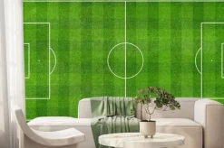 Fototapeta: Football field top view