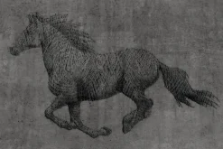 Fototapeta: Galopujący koń na betonowym tle