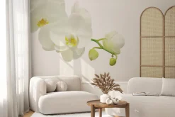 Fototapeta: Gałązka kwitnącego białego storczyka