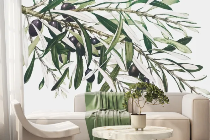 Fototapeta: Gałązka oliwna z gęstymi liśćmi