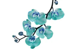 Fototapeta: Gałązka z niebieskim storczykiem