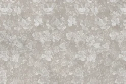 Fototapeta: Gałązki i liście bukszpanu w szarości