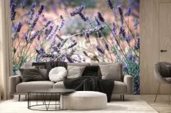 Fototapeta: Gałązki lawendy na łące