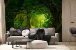 Fototapeta: Głęboka tropikalna dżungla azji południowo-wschodniej