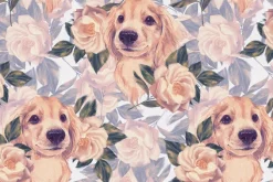 Fototapeta: Golden retriever pies wśród róż