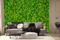 Fototapeta: Gęsty mech w kolorach zieleni