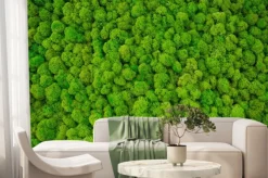 Fototapeta: Gęsty mech w kolorach zieleni